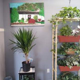 A cozy corner adorned with a variety of indoor plants and vibrant wall art.