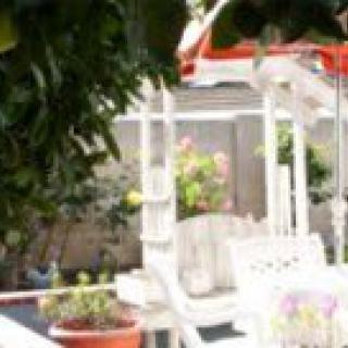 A tranquil patio area with white furniture surrounded by lush green plants.