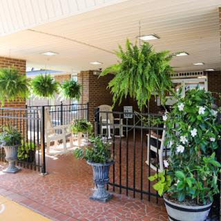 A serene outdoor seating area adorned with lush greenery and decorative plants.