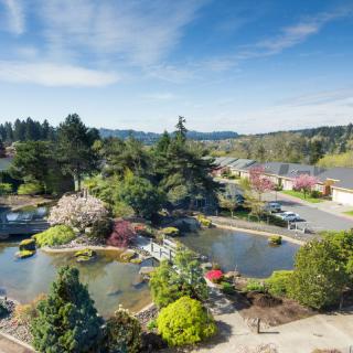 A picturesque view of a landscaped garden with a pond, surrounded by lush greenery and trees under a bright blue sky.