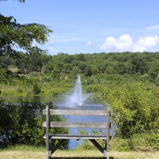 A serene view of a lake with a water fountain, framed by lush greenery and a wooden bench.