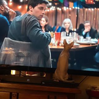A curious cat watching a scene from a dinner gathering on TV.