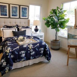 A cozy bedroom featuring a navy floral bedding set, potted plant, and framed artwork on the walls.