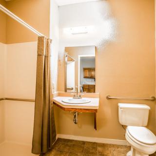 A well-lit accessible bathroom with a shower, sink, and toilet equipped with grab bars.