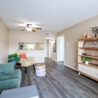 A cozy and modern living room with a blend of comfort and style.