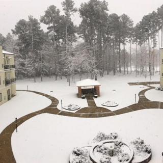 A tranquil snowy scene with a gazebo surrounded by trees and buildings.