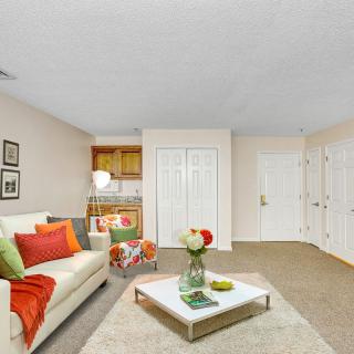 A modern living room featuring a bright, colorful decor with a sofa and coffee table in an open space.