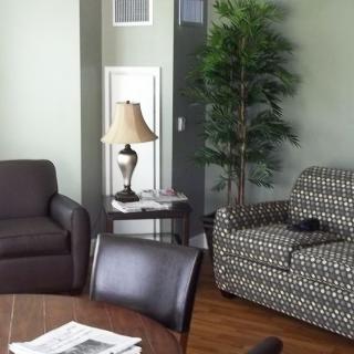 A cozy living room with a sofa, patterned armchair, side table, and decorative plant.