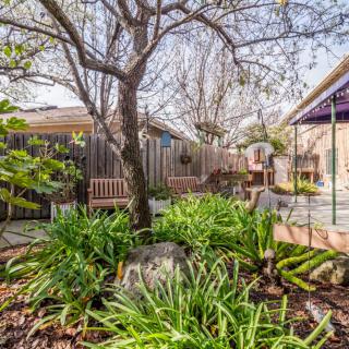 A serene garden with lush greenery and a wooden bench under the tree.