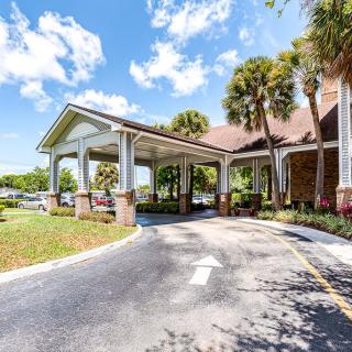 A sunny day view of a building entrance with a driveway and palm trees.