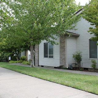 A suburban house with a well-maintained lawn and trees lining the sidewalk.