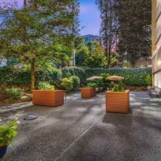 A serene outdoor garden area with potted plants and trees next to a building.