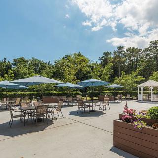 A sunny outdoor patio with tables, chairs, and umbrellas surrounded by trees.