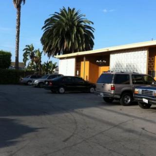 A sunny parking lot with palm trees and several cars near a building.