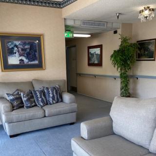 A cozy lobby area featuring sofas, decorative paintings, and indoor plants.