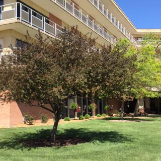 A tree stands on a grassy lawn in front of a modern multi-story building.