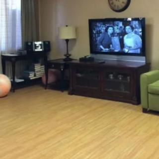 A cozy living room with a television and an exercise ball.