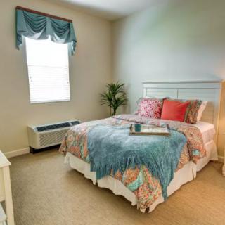 A cozy bedroom with a neatly made bed, colorful pillows and blankets, a window allowing natural light, and a plant in the corner.