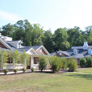A row of suburban houses surrounded by lush greenery and trees.