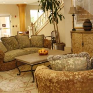 A cozy living room with comfortable sofas, a coffee table, and decorative elements.