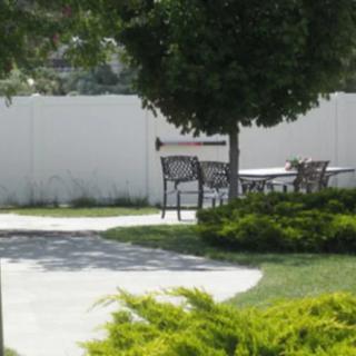 A serene garden area with a bench and a shaded tree along a pathway.