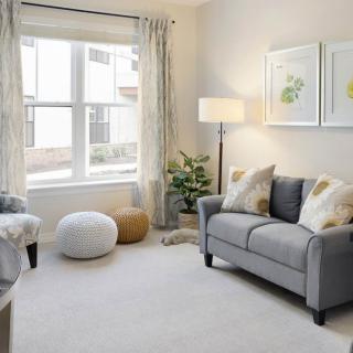 A cozy living room with a grey sofa, decorative cushions, and modern artwork.