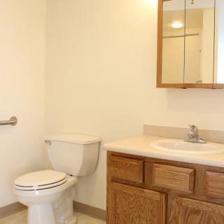 A simple bathroom with a toilet, sink, and mirror cabinet.