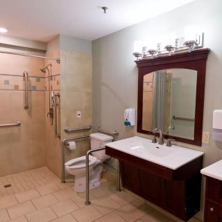 A modern and accessible bathroom with a walk-in shower, toilet, sink, and grab bars.