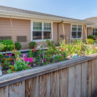 A vibrant garden with colorful flowers behind a wooden fence, alongside a house with multiple windows.