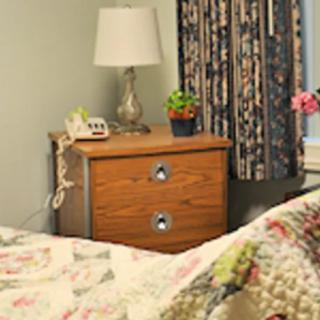 A cozy bedroom with a nightstand featuring a lamp, landline phone, and potted plant next to a bed covered with a quilt.