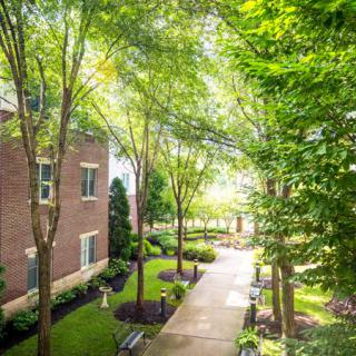 A serene walkway between buildings, lined with lush green trees and bathed in sunlight.