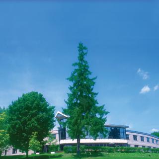 A modern building surrounded by trees under a clear blue sky.