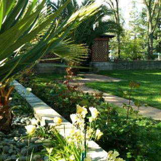 A lush garden with a pathway surrounded by vibrant greenery and plants.