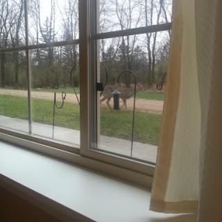 A serene view of a tree-lined path from a window, inviting nature inside.