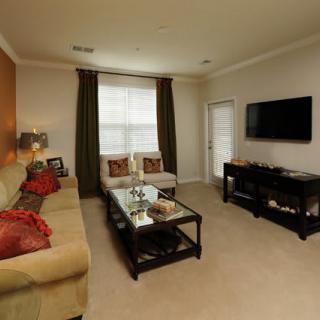 A cozy living room with a sofa, coffee table, TV, and decorative elements.