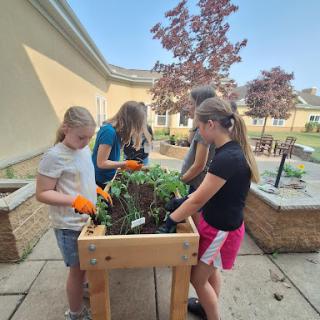 Children engaging in a gardening activity, cultivating plants together in an outdoor setting.