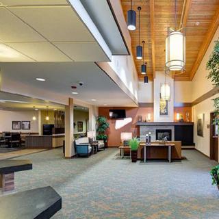 A modern lobby with comfortable seating, warm lighting, and decorative plants.
