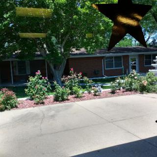 A sunny view of a garden with blooming flowers and a tree, showcasing a peaceful residential setting.