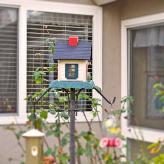 A colorful birdhouse stands in a garden with windows in the background.