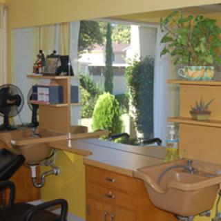 A cozy hair salon featuring a neatly arranged styling area, a mirror, and plants for a refreshing ambiance.