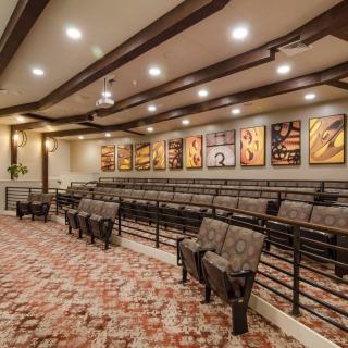 A spacious and well-lit auditorium with comfortable seating and artistic wall decor.