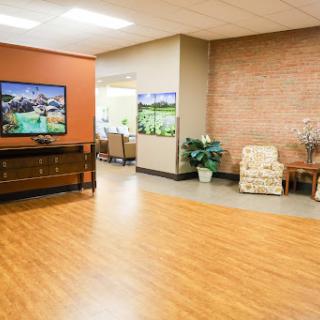 A well-lit lobby featuring comfortable seating, vibrant wall colors, and decorative plants.