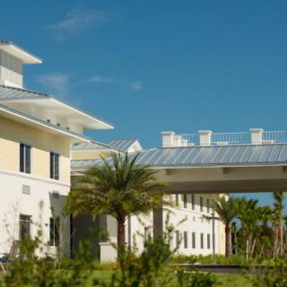 A modern building with palm trees under a clear blue sky.
