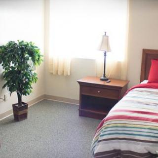 A bright and cozy bedroom with a bed, nightstand, lamp, and potted plant by the window.
