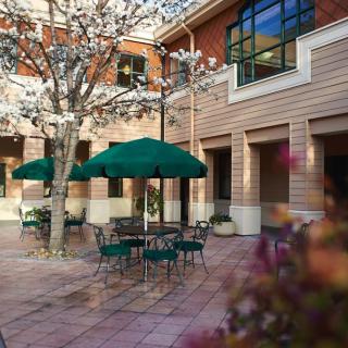 A serene courtyard with tables and green umbrellas.