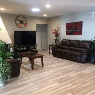 A cozy living room with a sofa, television, and decorative plants.
