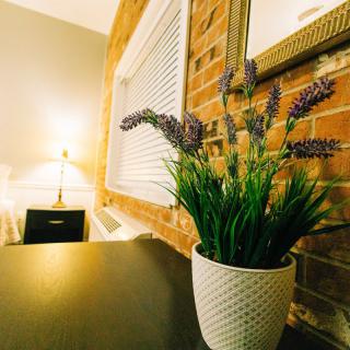 A cozy room features a potted plant against a brick wall, softly lit by a bedside lamp.
