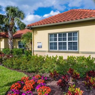 A sunny view of a house with a well-maintained garden full of colorful flowers and a palm tree.