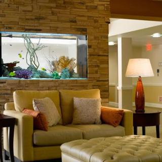 A cozy living room with a sofa, aquarium, and warm lighting.