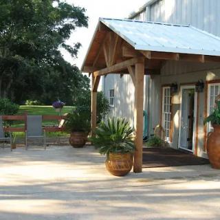 A charming entrance to a building surrounded by lush greenery and decorative pots.